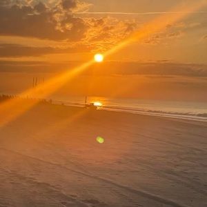 Meet your Posher, Bernice